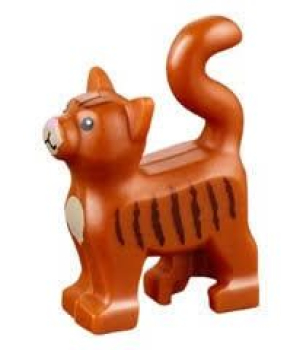 QMAN Katze Kätzchen Dunkel Orange (QM13786)
