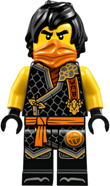 LEGO Ninjago Cole (894) W07