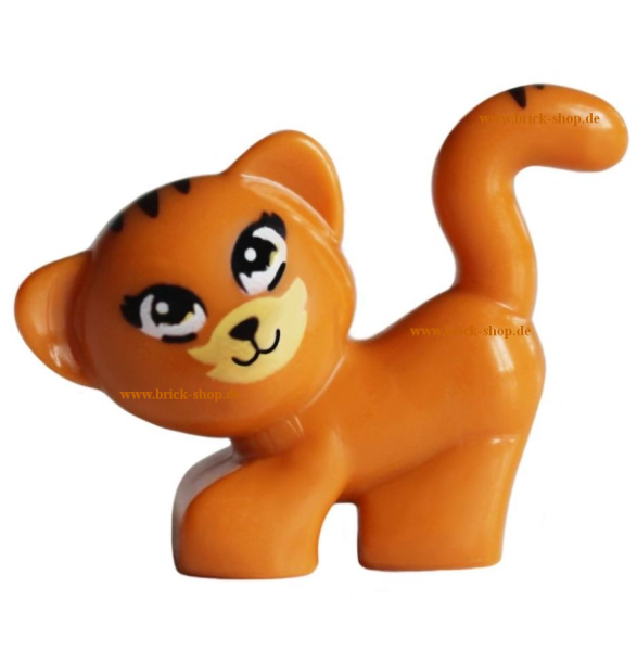 QMAN Katze Kätzchen Dunkel Orange (QM80686)