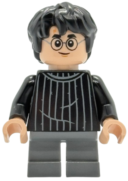 LEGO Harry Potter (538) X11